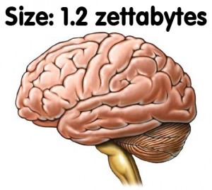 The brain is 1.2 zettabytes in size